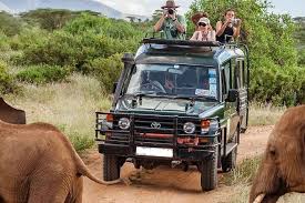 tarangire national parck shared group safari tour